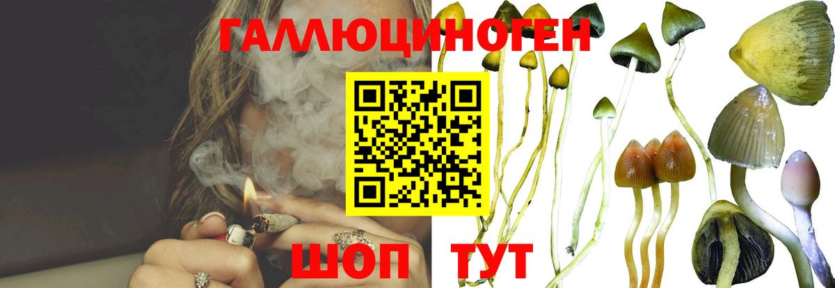 Галлюциногенные грибы MAGIC MUSHROOMS Ярцево